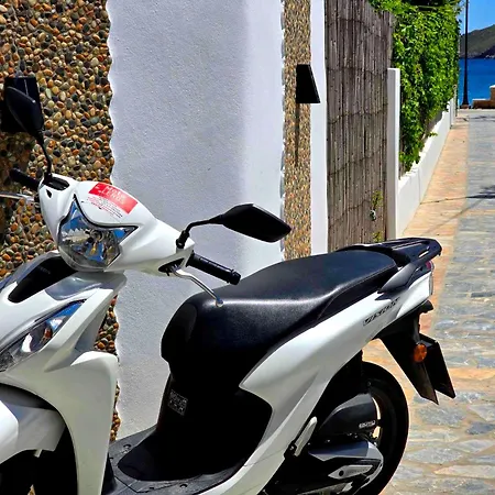 Papafotis &