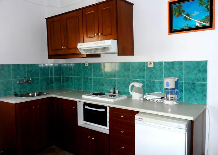 Papafotis & 公寓式酒店 Alinda (Leros)